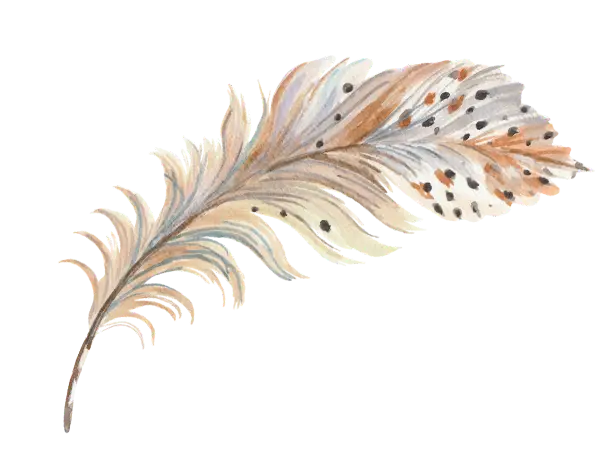 Dibujo de una pluma